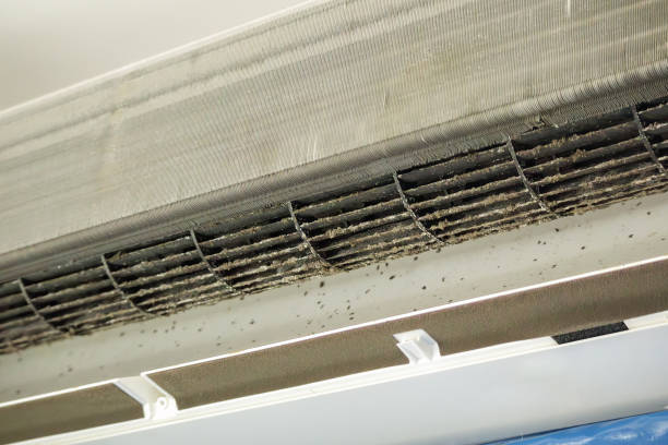 Best Affordable Air Duct Cleaning  in Homewood, SC